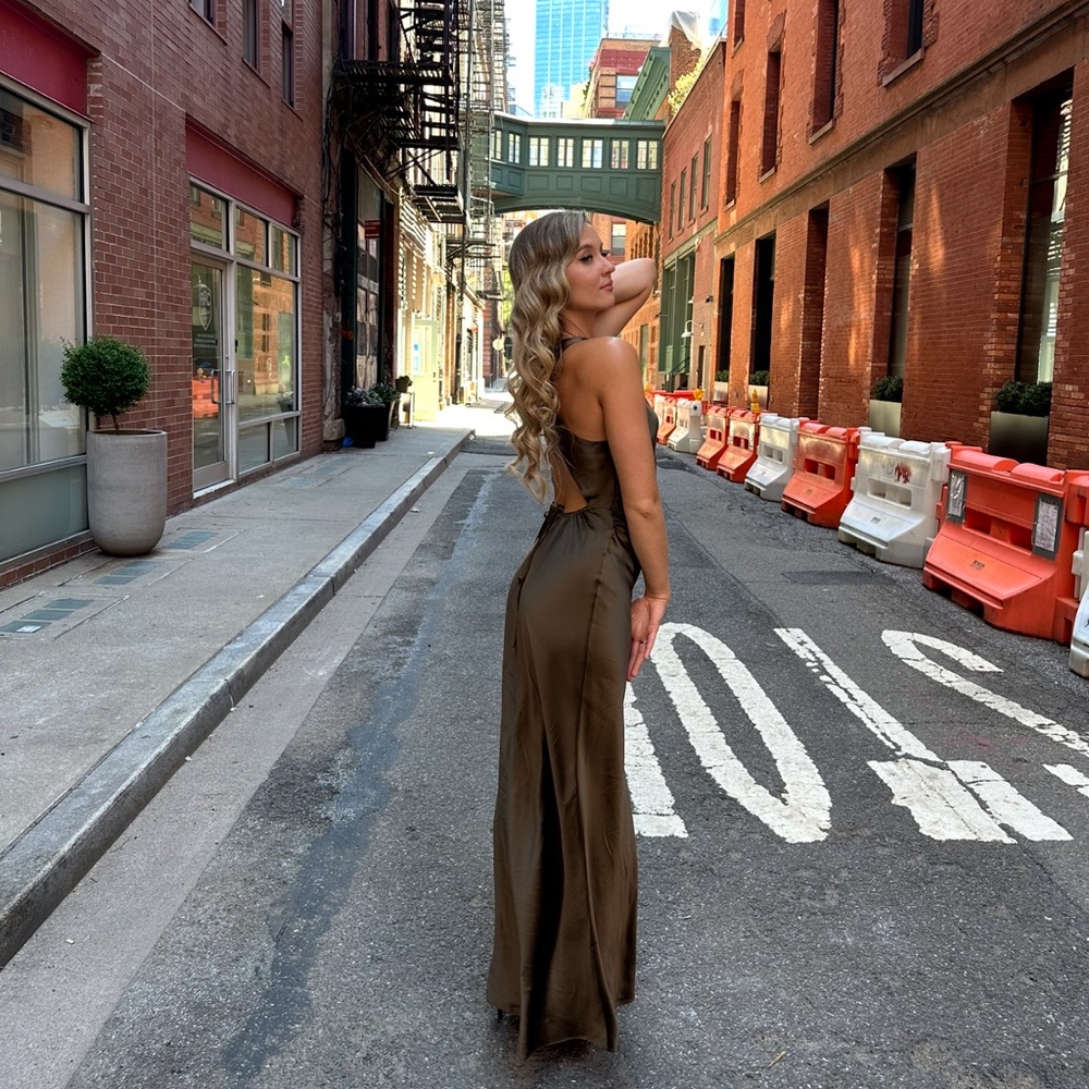 Elegant Reformation Anaiis Silk Dress - Picture 8 of 16